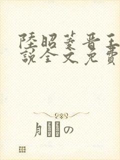 陆昭菱晋王的小说全文免费阅读