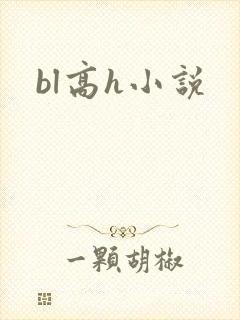 bl高h小说