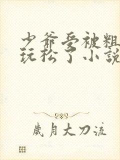 少爷受被粗汉H玩松了小说