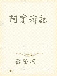 阿宾游记