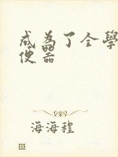 成为了全学校坐便器