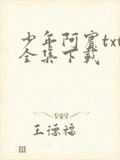 少年阿宾txt全集下载