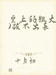 皇上的粗大(h)拔不出来