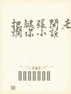 把腿张开老子臊烂你小说