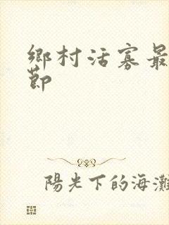 乡村活寡最新章节