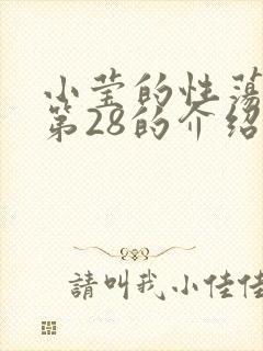 小莹的性荡生活第28的介绍