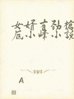 女婿有劲枪枪到底小峰小说