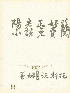 阳光正好苏玥玥小说免费阅读无弹窗