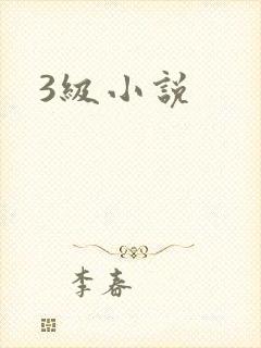 3级小说