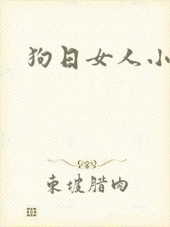 狗日女人小说