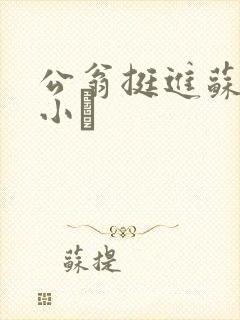 公翁挺进苏玥的小泬