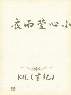 夜雨莹心小说