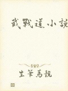 武战道小说