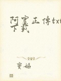 阿宾正传txt下载