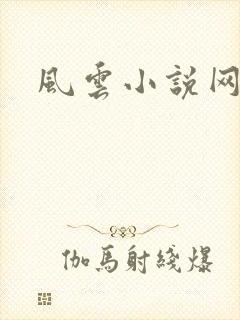 风云小说网