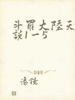 斗罗大陆天狂传说1一5