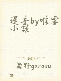 迟音by唯雾的小说