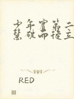 少年宾第二部珏慧破而后立