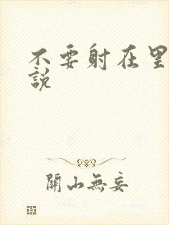 不要射在里面小说