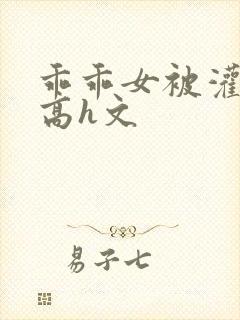 乖乖女被灌满精高h文