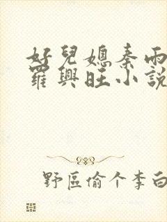 好儿媳秦雨罗明罗兴旺小说