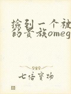 捡到一个被抹布的贵族omega