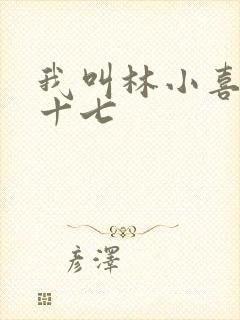 我叫林小喜今年十七