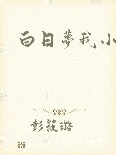 白日梦我小说