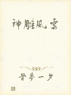 神雕风云