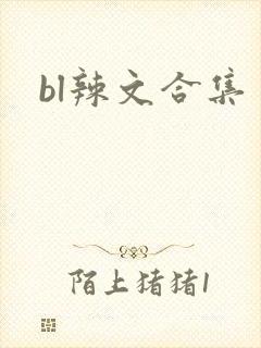 bl辣文合集