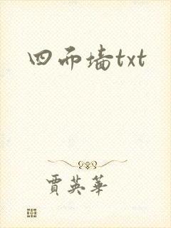四面墙txt
