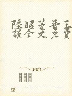 陆昭菱晋王的小说全文免费阅读