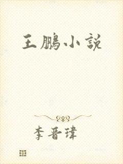 王鹏小说