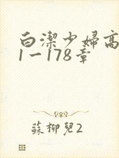 白洁少妇高义第1一178章