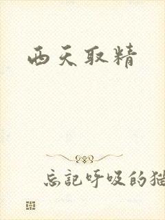 西天取精