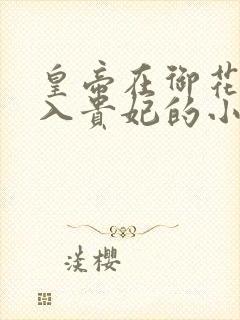 皇帝在御花园进入贵妃的小说