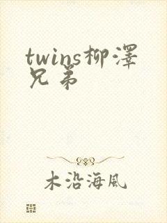twins柳泽兄弟