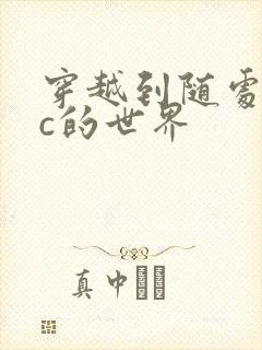 穿越到随处可以c的世界