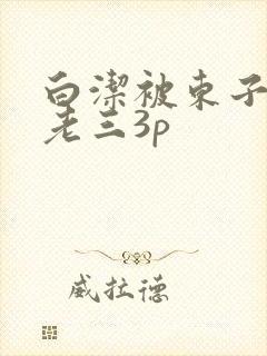 白洁被东子老二老三3p
