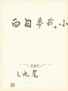 白日梦我小说