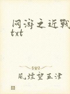 网游之近战法师txt