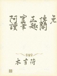 阿宾正传免费阅读笔趣阁