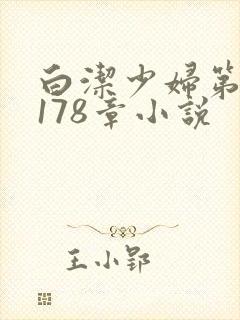 白洁少妇第1一178章小说