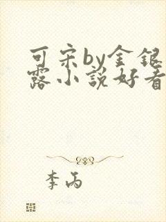 可宋by金银花露小说好看吗