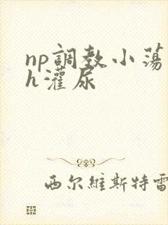 np调教小荡货h灌尿
