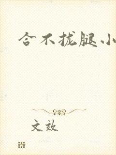 合不拢腿小说