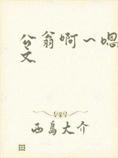 公翁啊～嗯啊h文