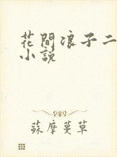 花间浪子二十部小说