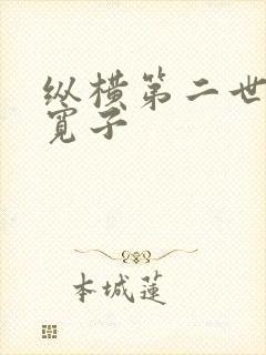 纵横第二世界 宽子