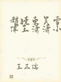 赵晓东吴雪晴郑伟王潇潇小说